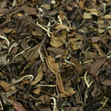 福鼎白茶
