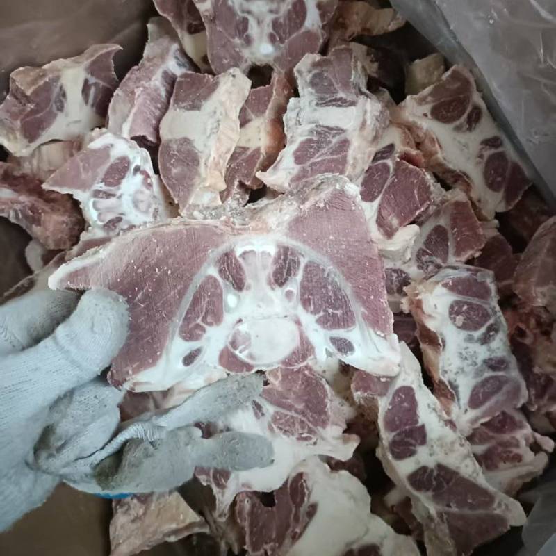 原切牛尾骨