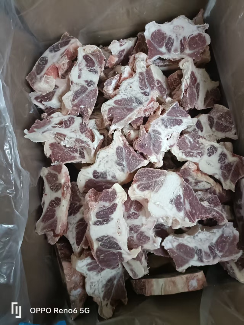 原切牛尾骨
