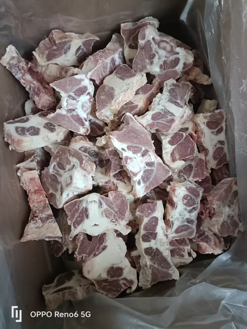 原切牛尾骨
