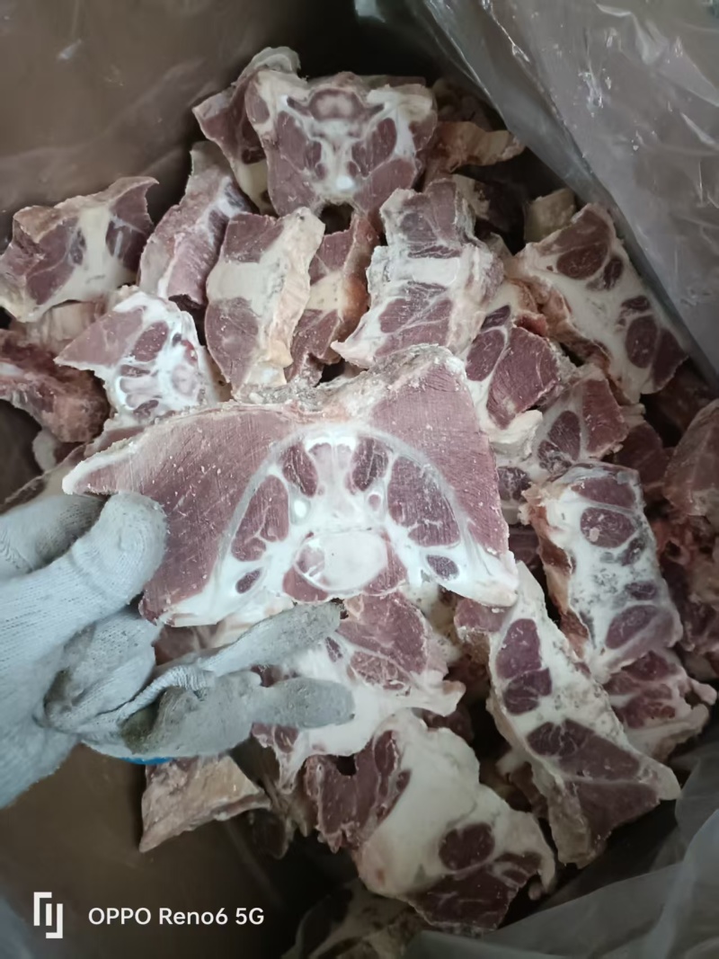 原切牛尾骨