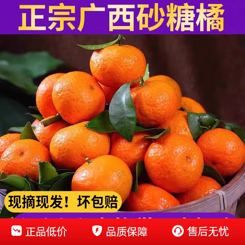 《沙糖桔》广西沙糖桔/正宗沙糖桔/产地货源/保质保量