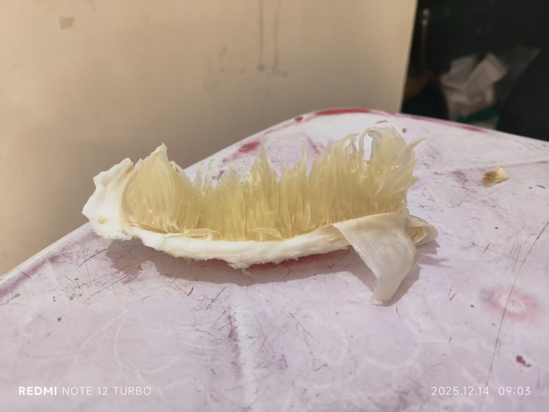 湖南永州沙田柚产地直发货源充足保质保量欢迎随时电话联系