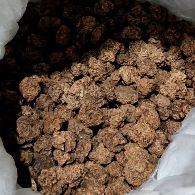 水扬桃木天蓼虫瘿果大货批
