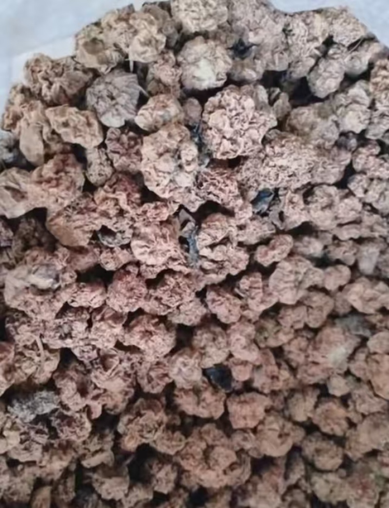 水扬桃木天蓼虫瘿果大货批