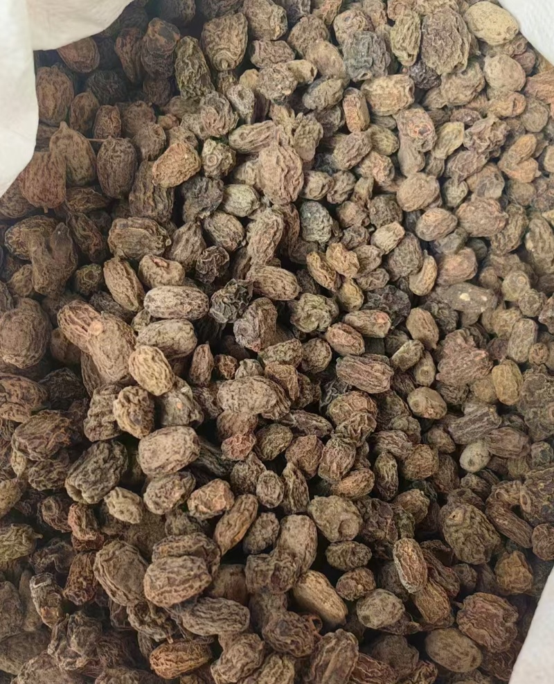 水扬桃木天蓼虫瘿果大货批