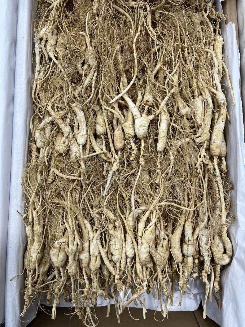 13—4年林下参趴货煲汤，泡酒，打粉，经济实惠