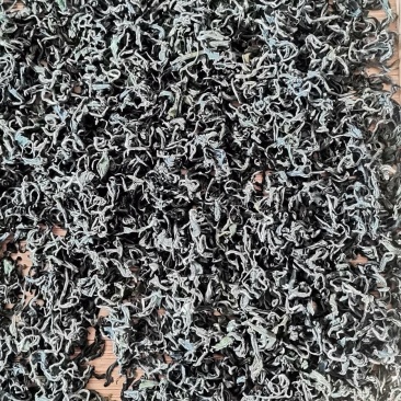 正宗日照秋茶