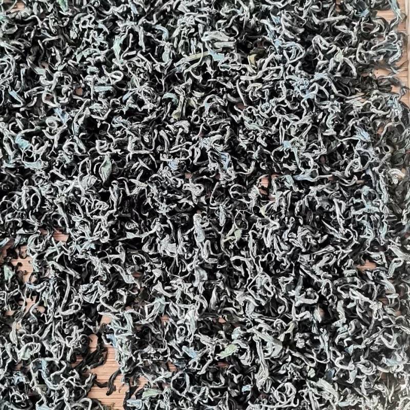 正宗日照秋茶