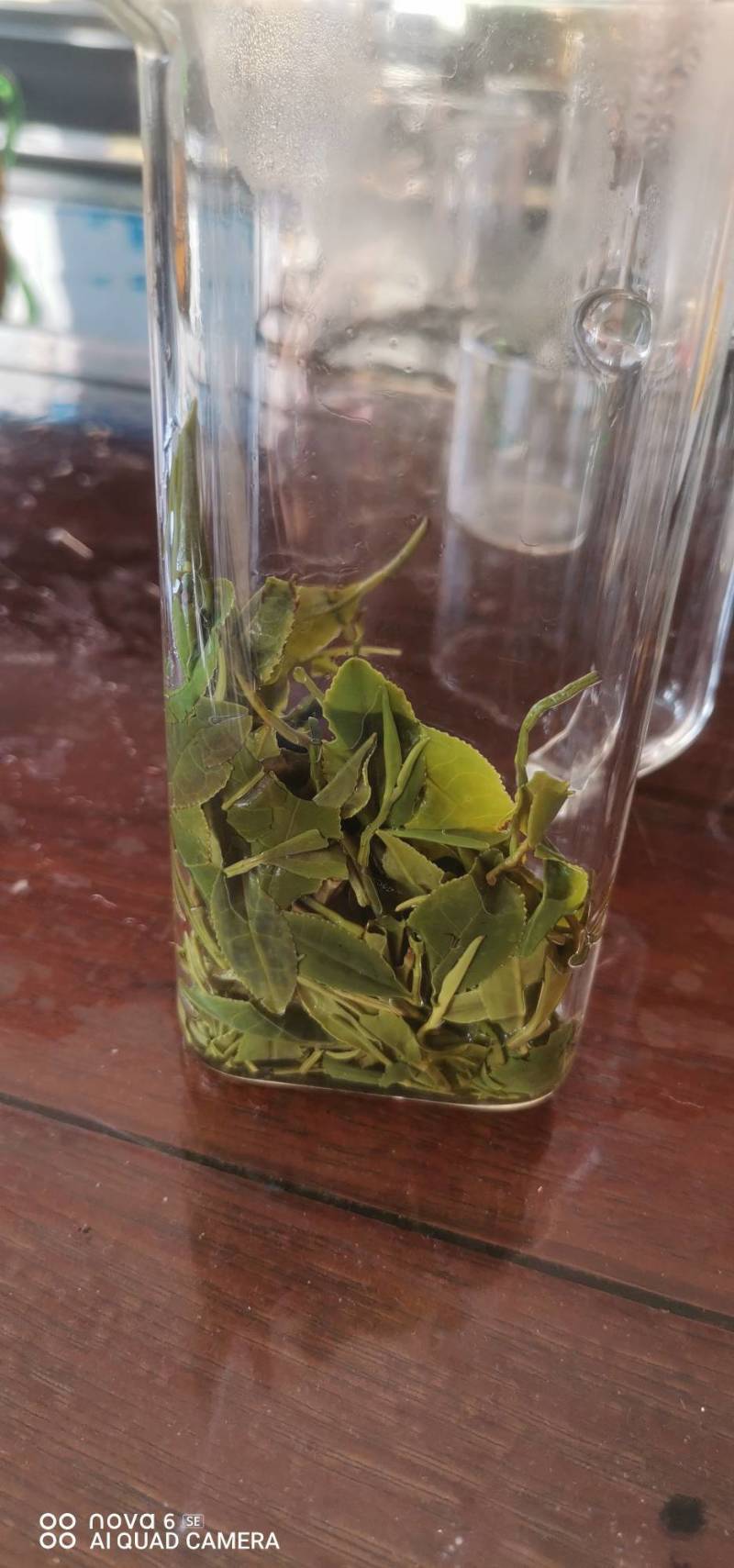 正宗日照秋茶