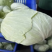 嘉鱼大量包菜