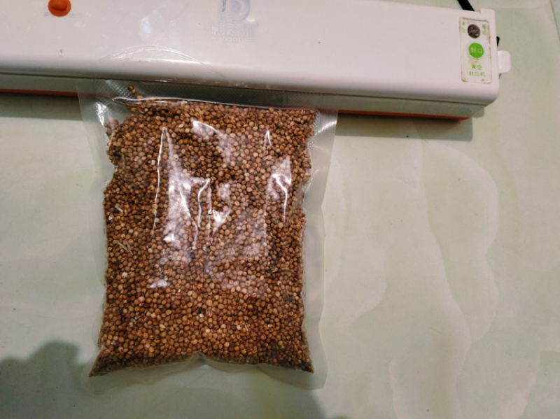 糯高粱，源头直供，糯性好，出酒高，欢迎咨询采购