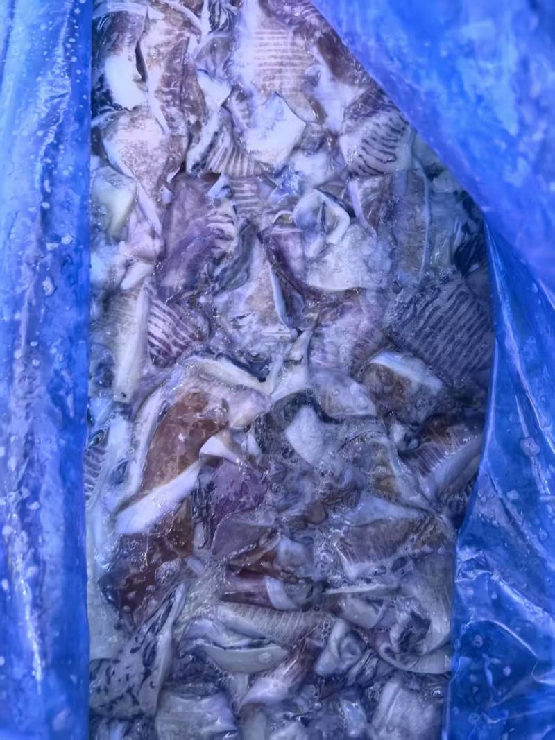 北太鱿鱼耳切下来的