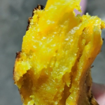 榴莲蜜薯，红薯，雄安地瓜