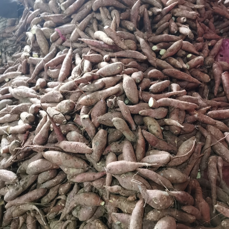 榴莲蜜薯，红薯，雄安地瓜
