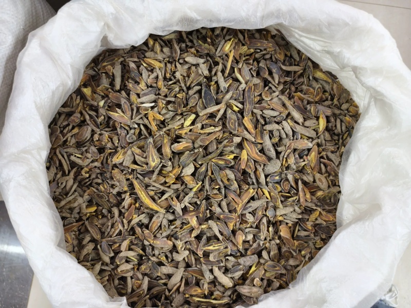 黄丝郁金，金丝郁金，正品无硫新货，正宗四川黄郁金犍为