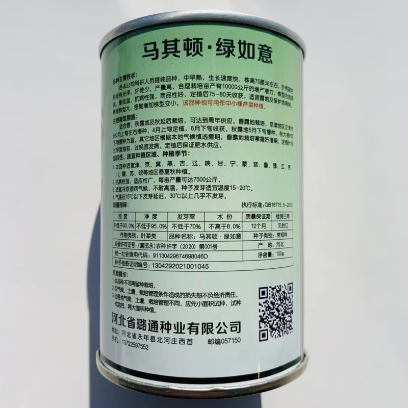 马其顿绿如意西芹种子高产基地专用中小棵芹菜种子四季芹菜种