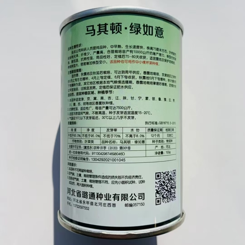 马其顿绿如意西芹种子高产基地专用中小棵芹菜种子四季芹菜种