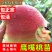 果园直发桃树苗鹰嘴桃苗脆甜爽口嫁接新鲜成品苗包对版成活率