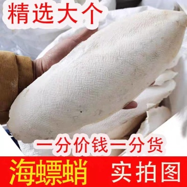 海螵蛸，新货无硫无杂质，中药材批发