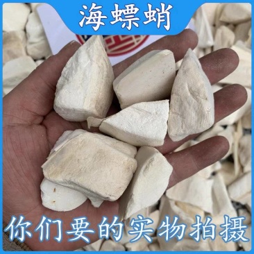 海螵蛸中药材乌贼骨新货无硫保证质量大货供应