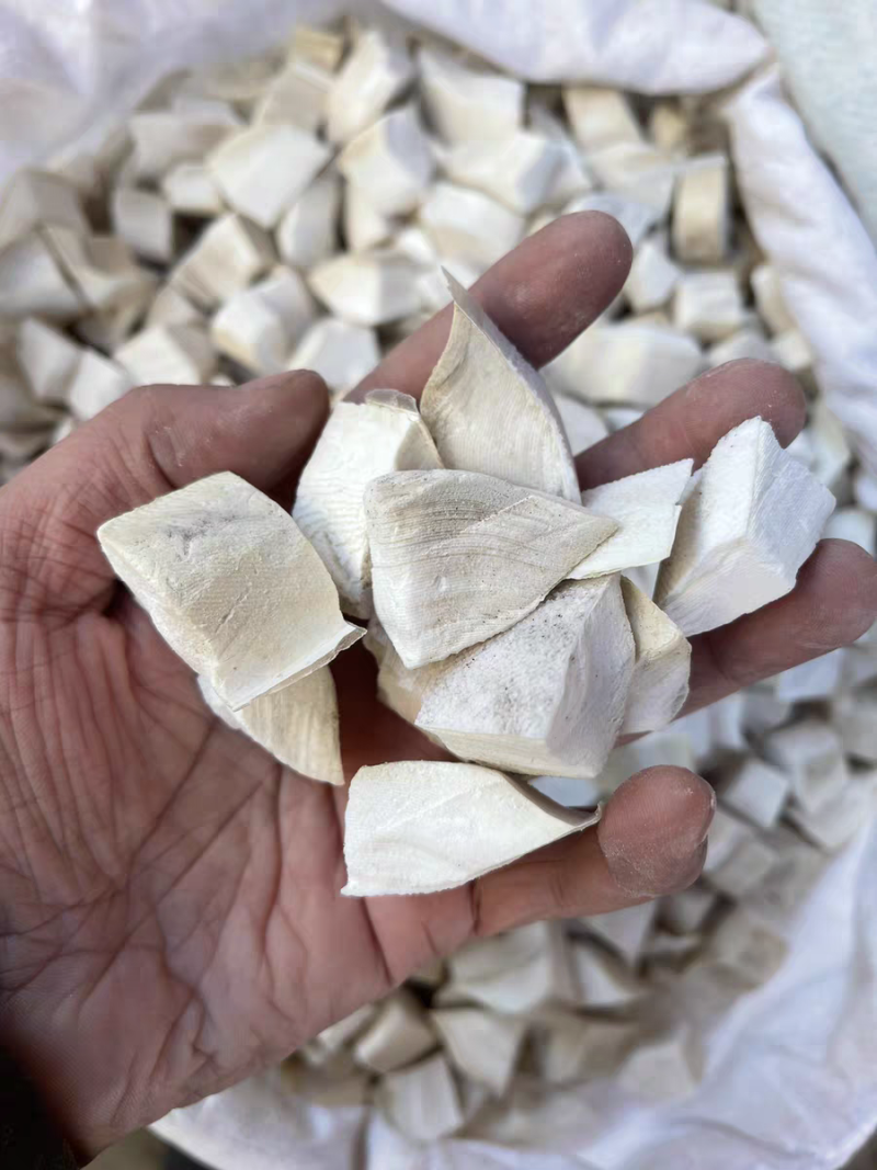 海螵蛸中药材乌贼骨新货无硫保证质量大货供应