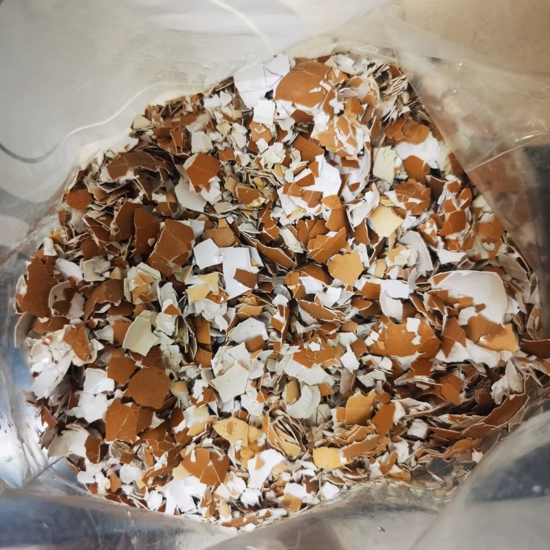 鸡蛋壳中药材无硫干净无杂质大货供应诚信经营