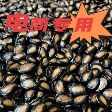 电商西瓜子，大片西瓜子，话梅，五香厂家直供，全国发货量大