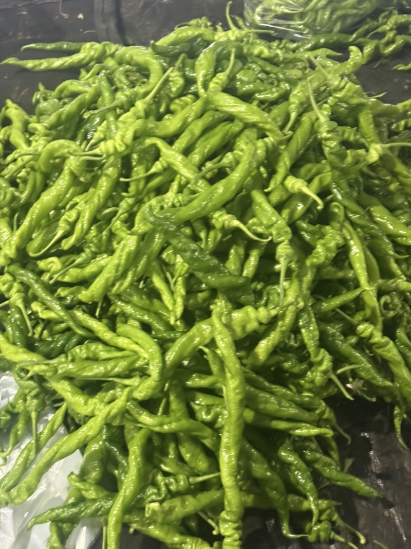 螺丝椒产区，对接电商商超市场