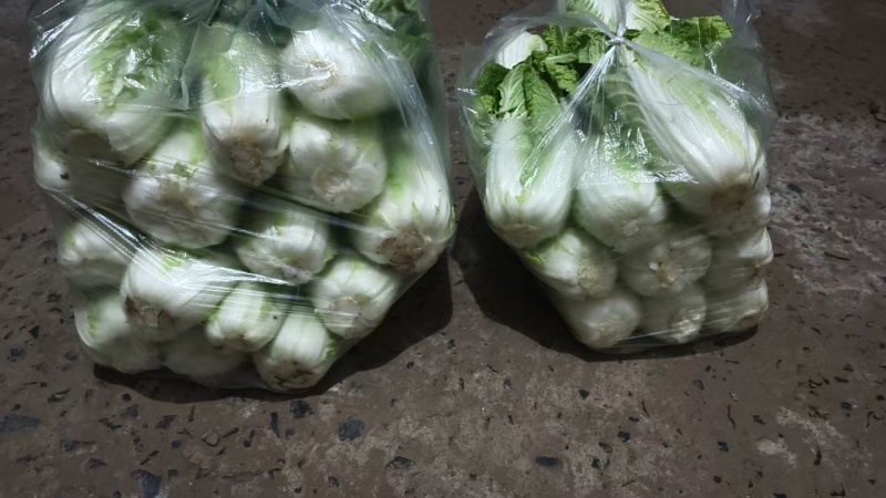 散装娃娃菜价格优