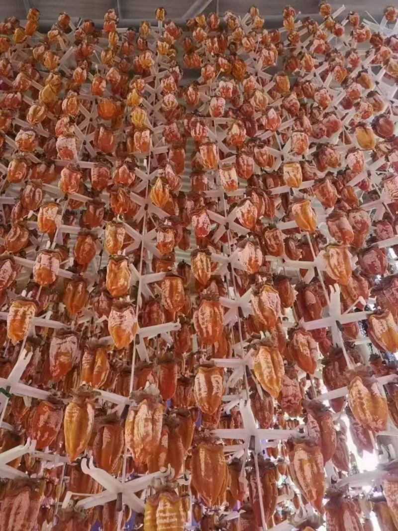 富平柿饼农户直发