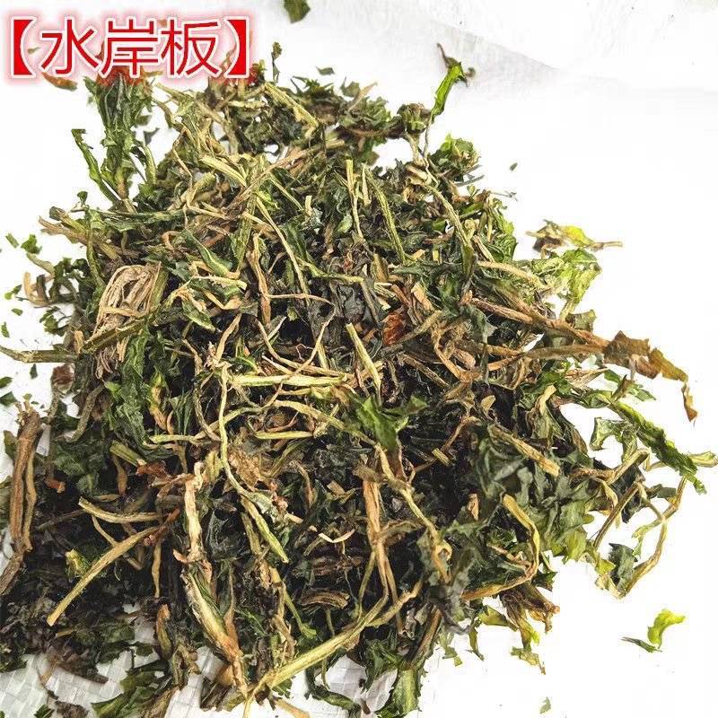 水案板扫尔得木眼子菜鸭子草水案板水上漂野生中药材