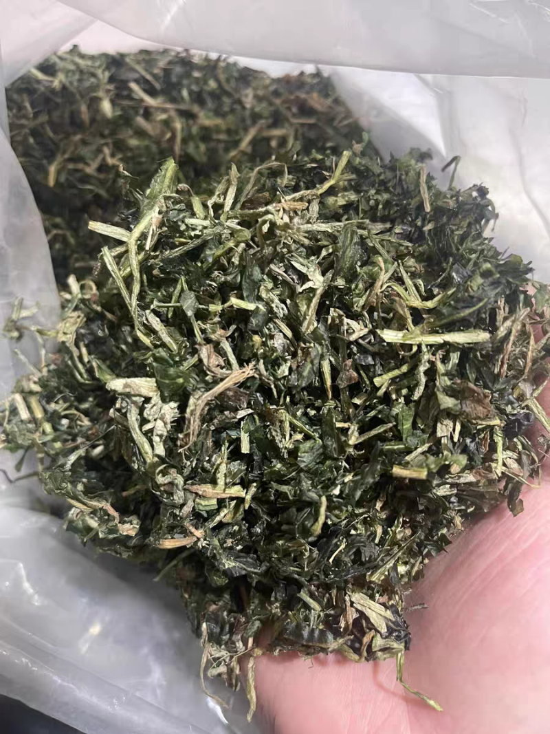 水案板扫尔得木眼子菜鸭子草水案板水上漂野生中药材