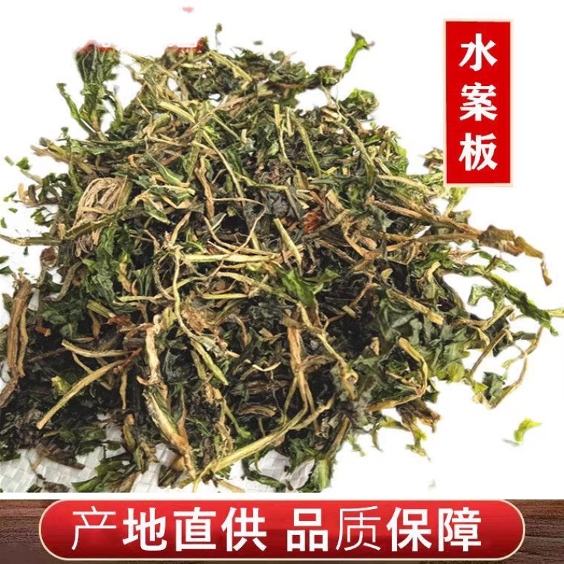 水案板扫尔得木眼子菜鸭子草水案板水上漂野生中药材