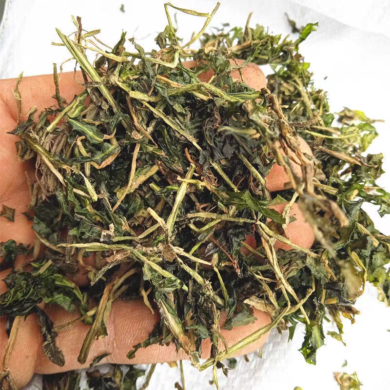 水案板扫尔得木眼子菜鸭子草水案板水上漂野生中药材
