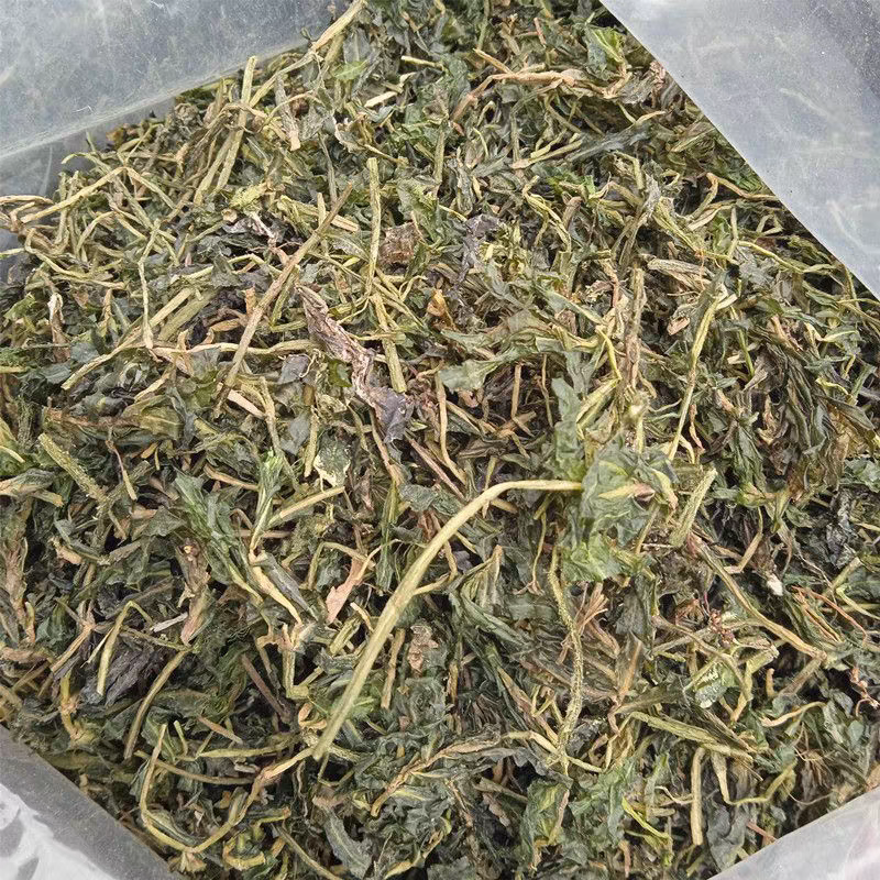 水案板扫尔得木眼子菜鸭子草水案板水上漂野生中药材