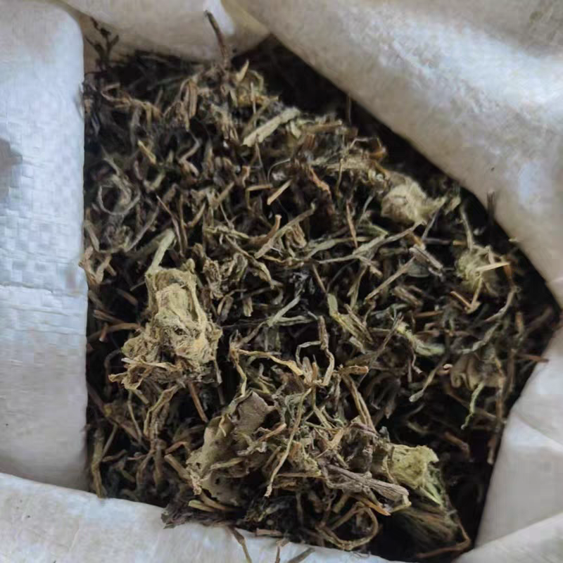 水案板扫尔得木眼子菜鸭子草水案板水上漂野生中药材