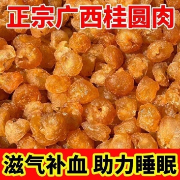 桂圆肉中药材正品桂圆肉去核无壳康养斋中药材