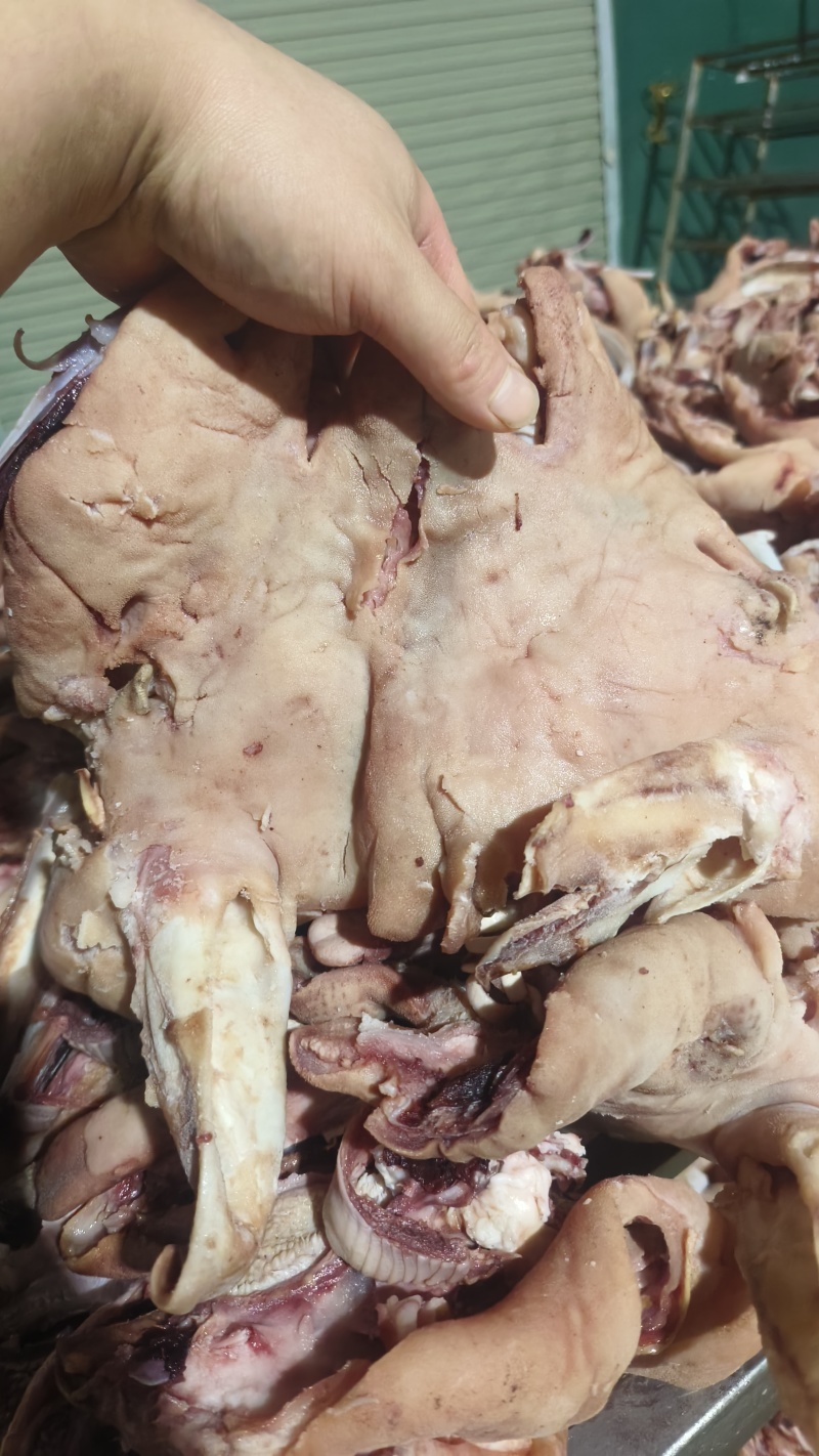 绵羊，大白羊头肉，熟度高