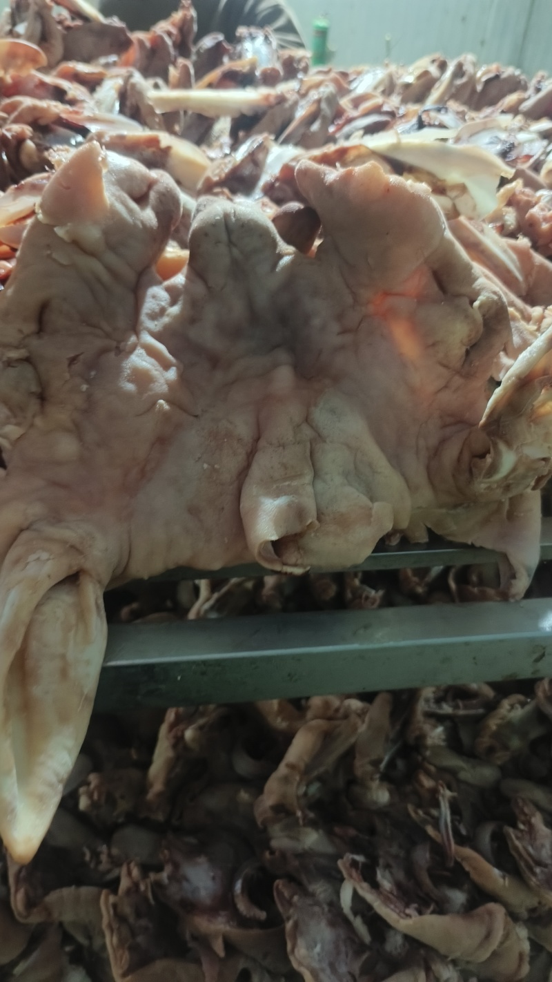 绵羊，大白羊头肉，熟度高