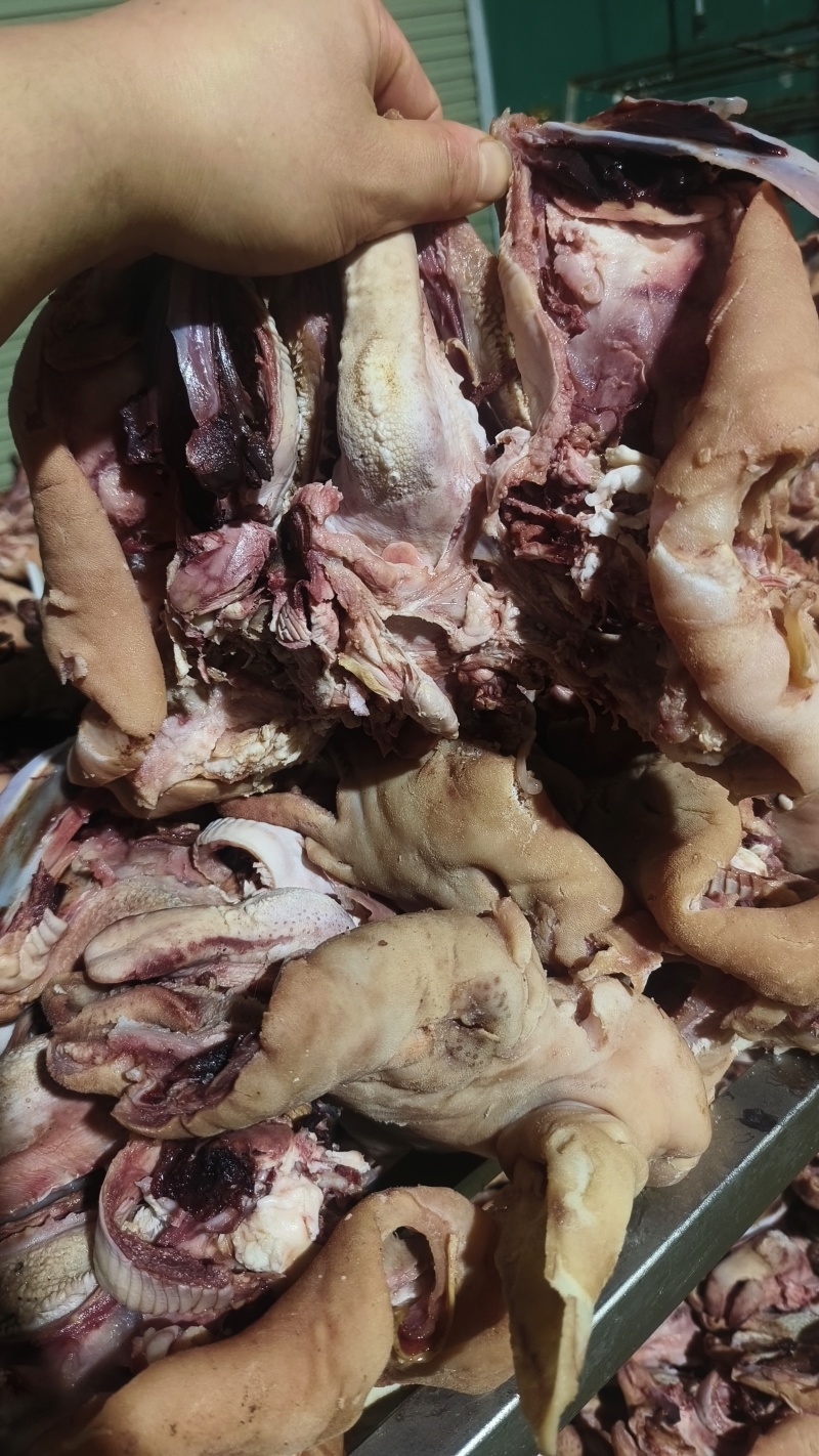 绵羊，大白羊头肉，熟度高