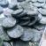 压缩海带丝压缩海带苗压缩海带片