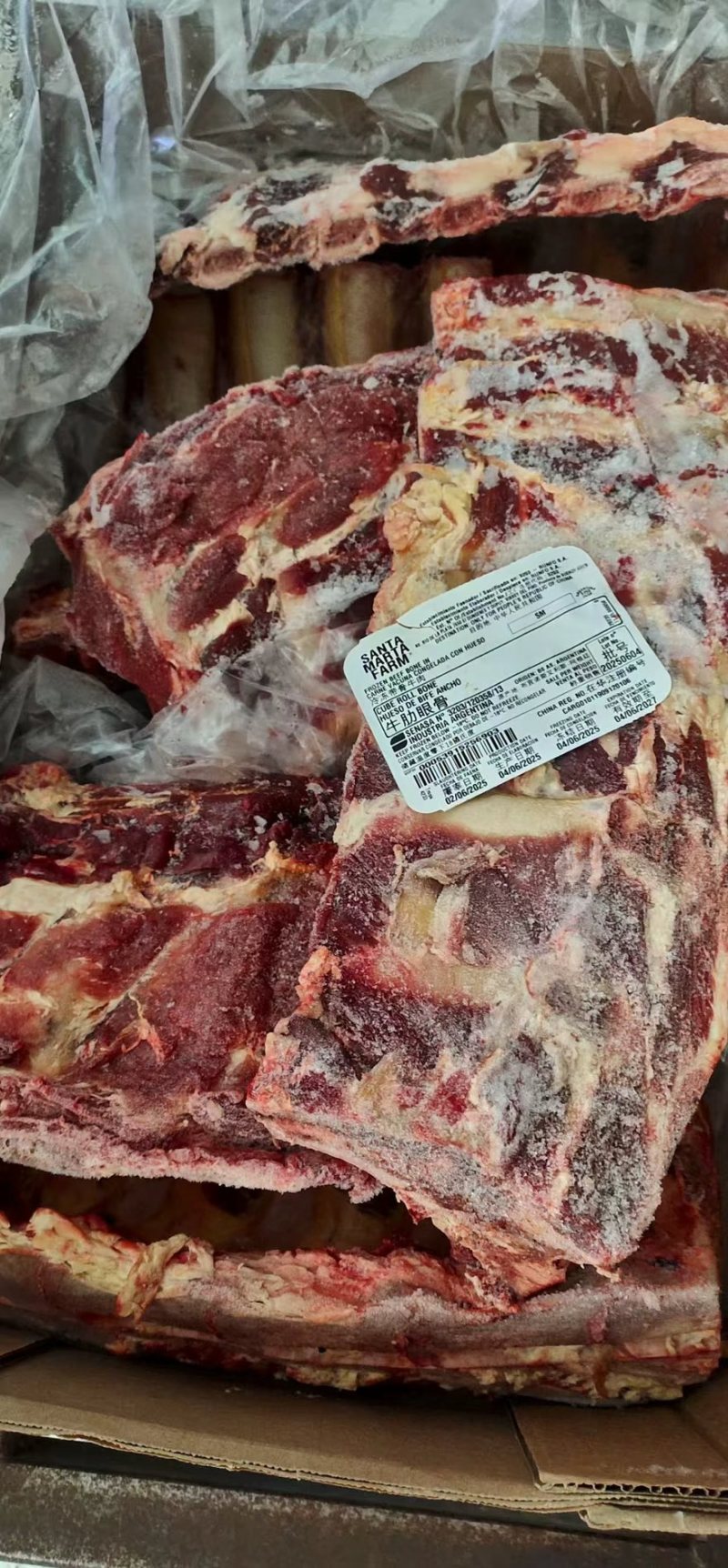 🐮肋眼骨