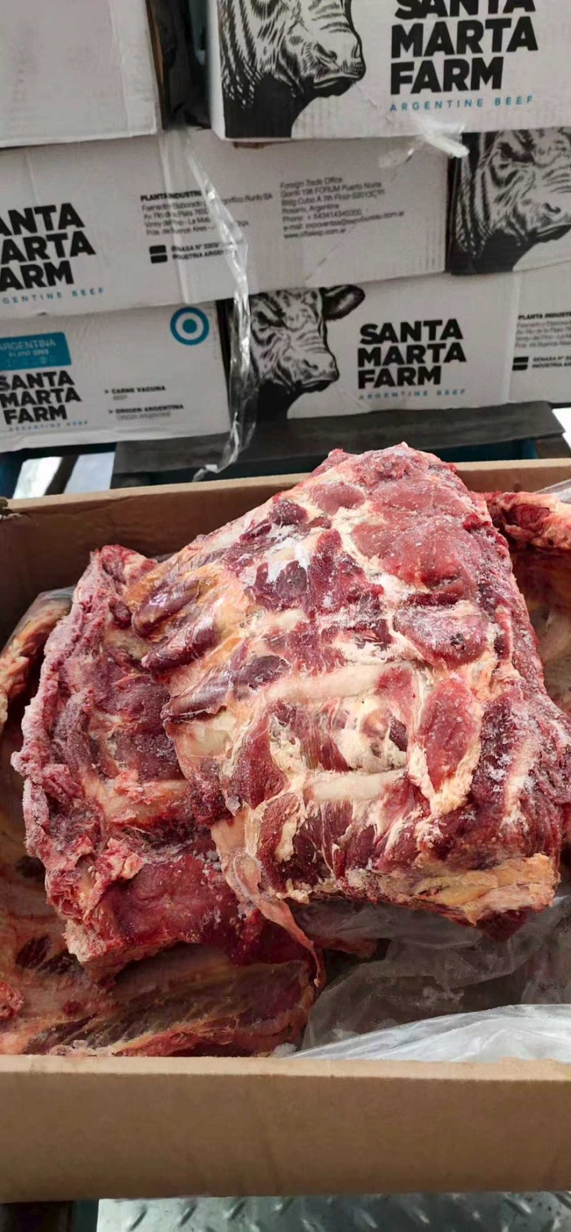 🐮肋眼骨