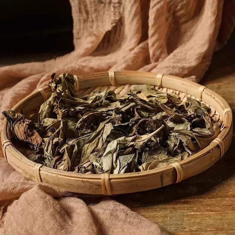 龙脷叶中药材冷背龙舌叶正宗龙利叶正品中草药