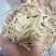牙签瓜子，新疆马牙瓜子，电商**，价格**全国发货货源稳