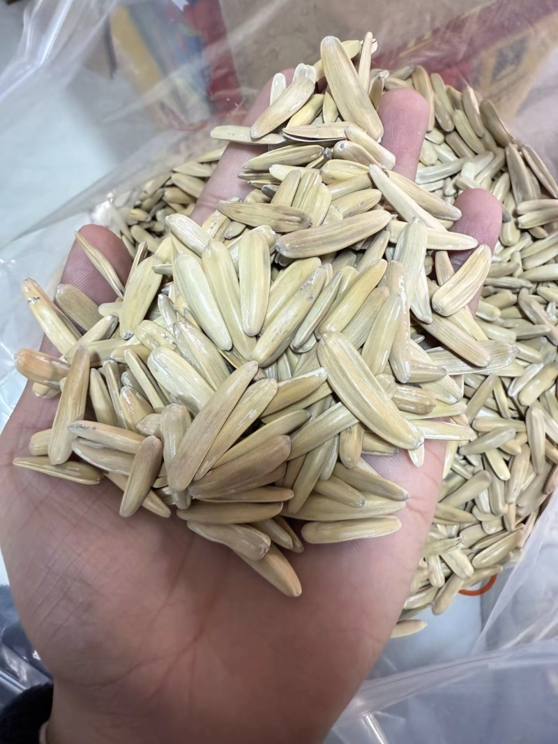 牙签瓜子，新疆马牙瓜子，电商**，价格**全国发货货源稳