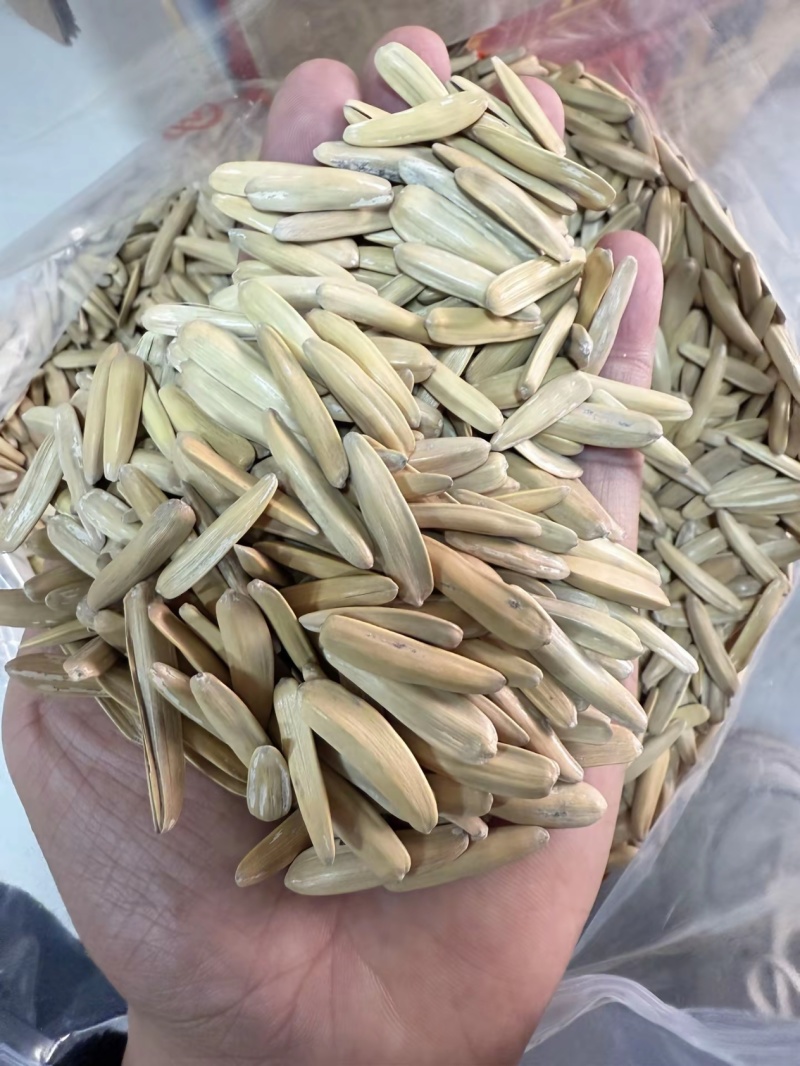 牙签瓜子，新疆马牙瓜子，电商**，价格**全国发货货源稳