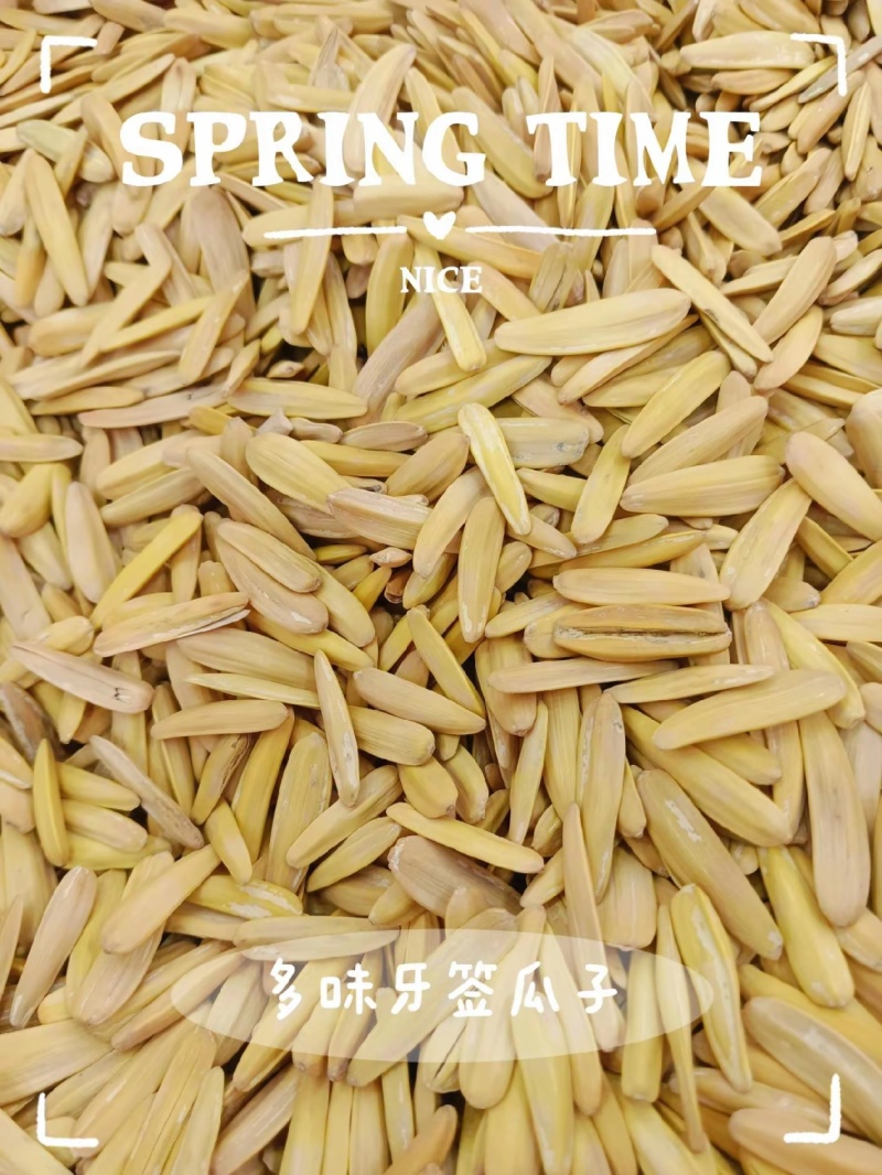 牙签瓜子，新疆马牙瓜子，电商**，价格**全国发货货源稳