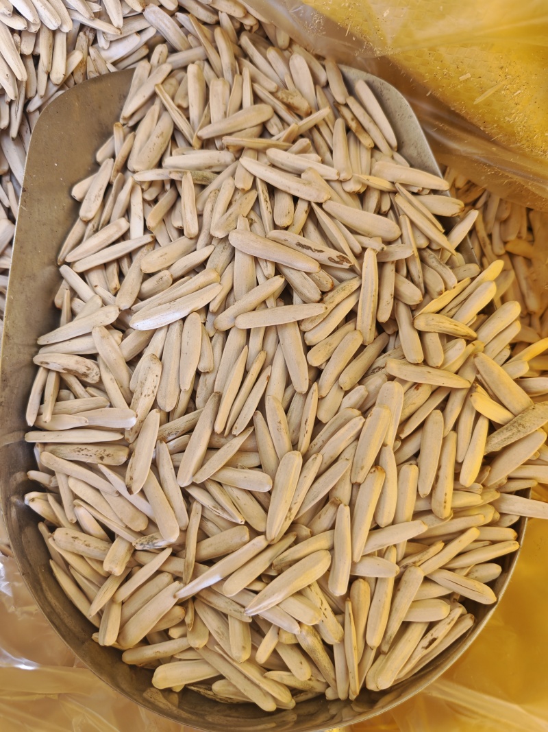 牙签瓜子，新疆马牙瓜子，电商**，价格**全国发货货源稳